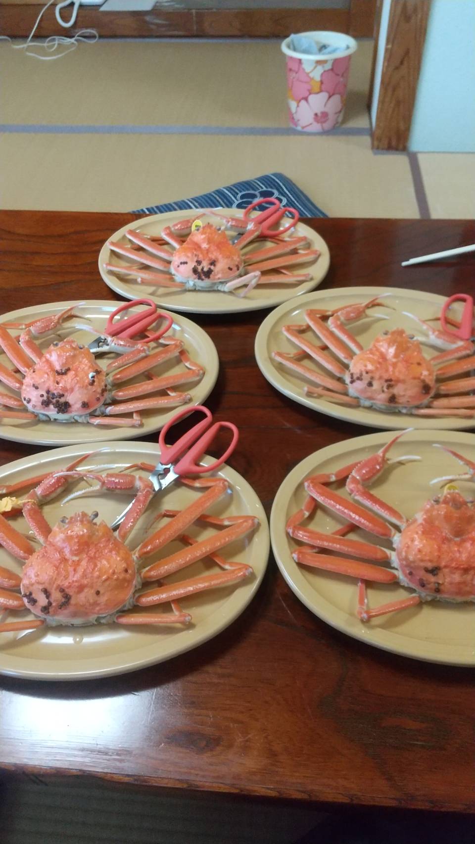 ご昼食でご利用いただきましたありがとうございました