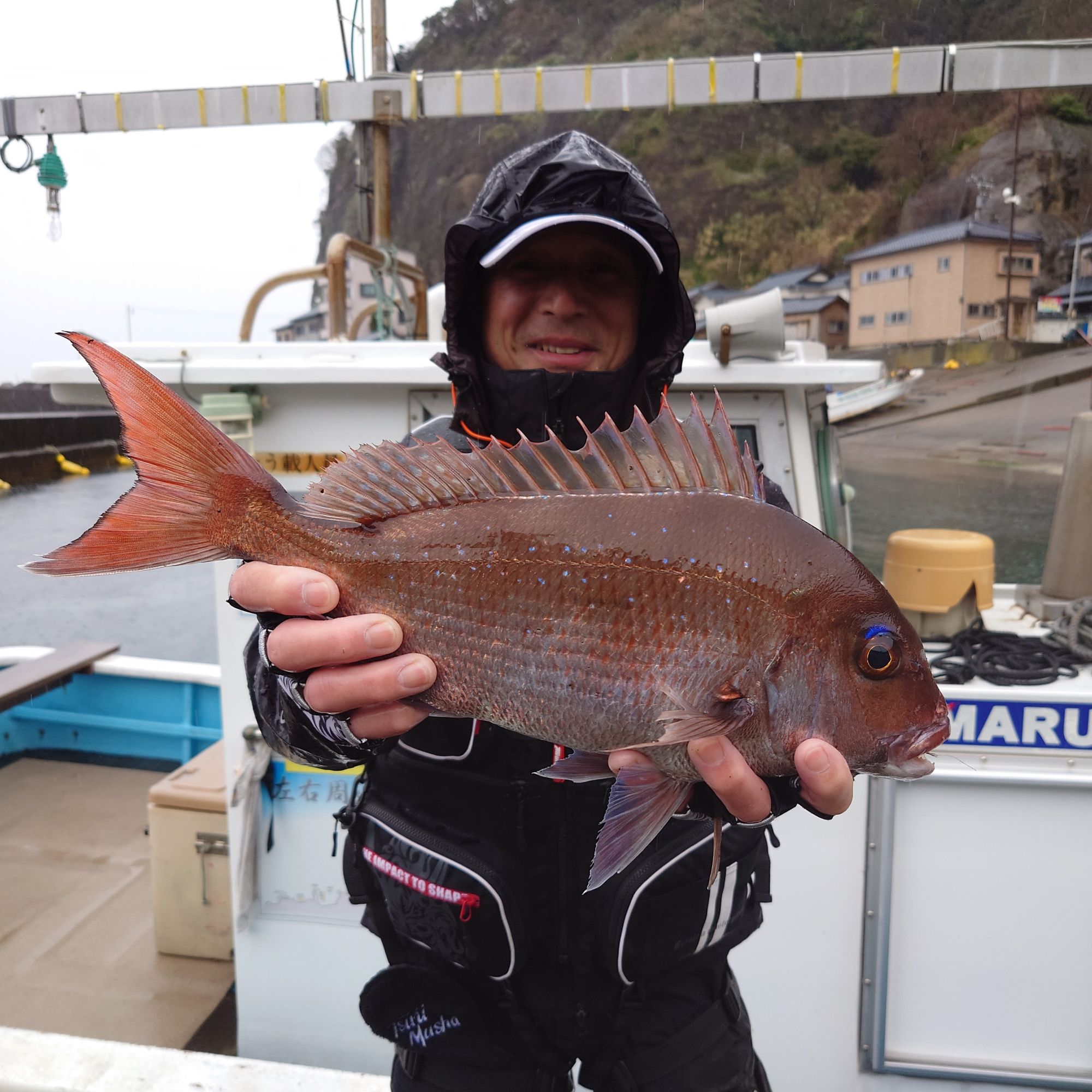 きれいな真鯛でした。