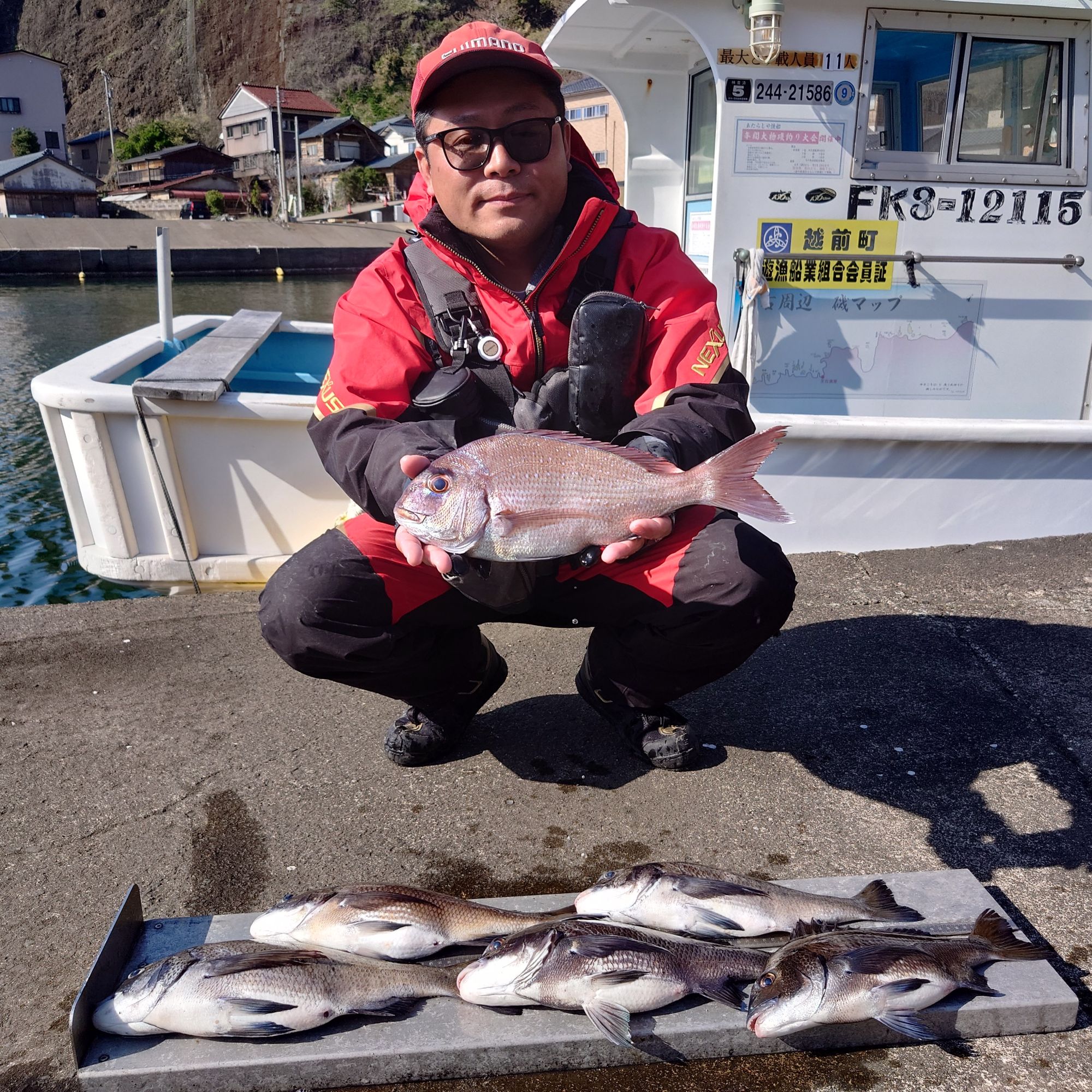 真鯛、クロダイ5枚