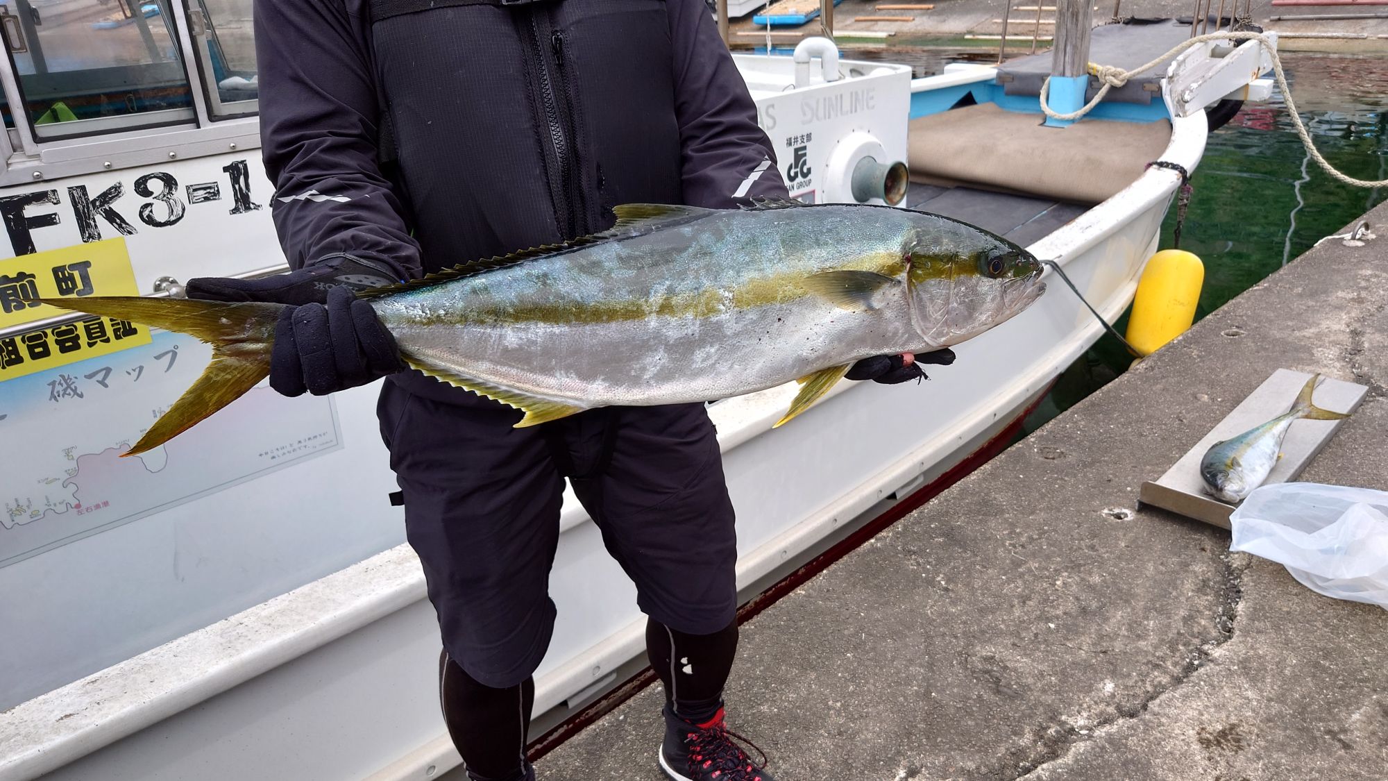 ヒラマサ85.5ｃｍでした。