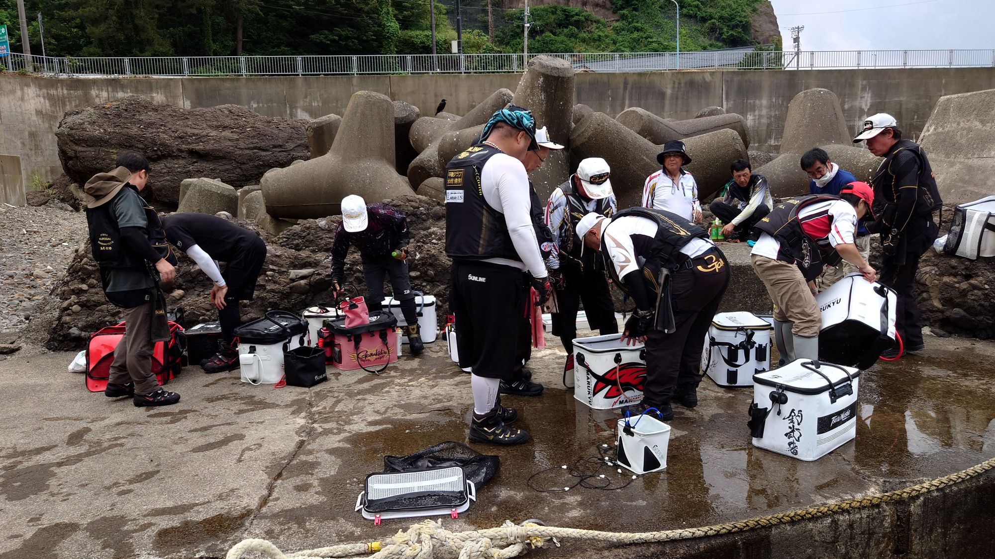福井釣連盟グレ釣り大会