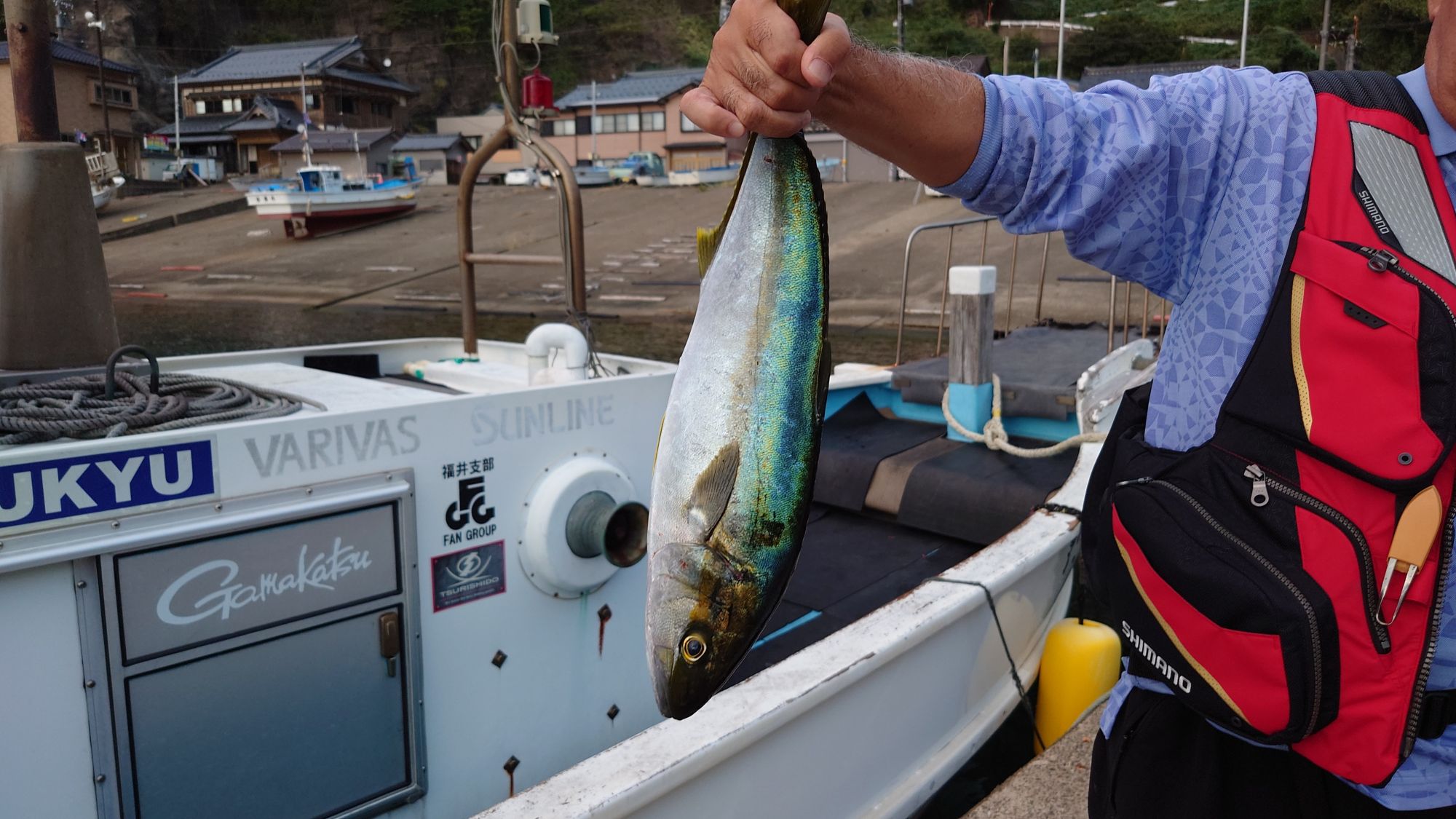 ヒラマサ