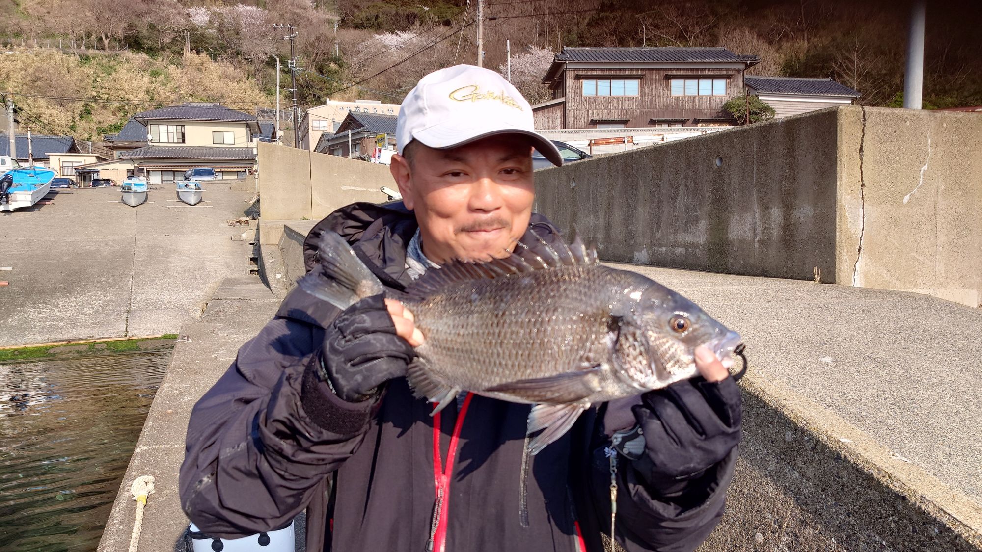 クロダイ、