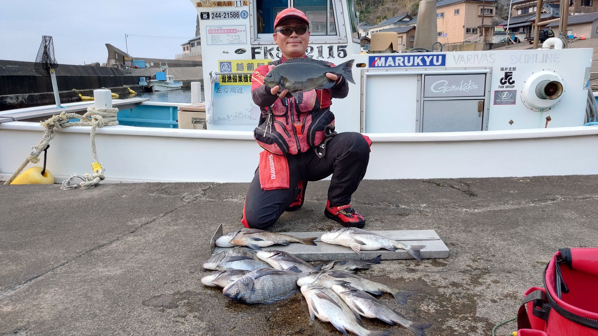 口太グレ、クロダイ、