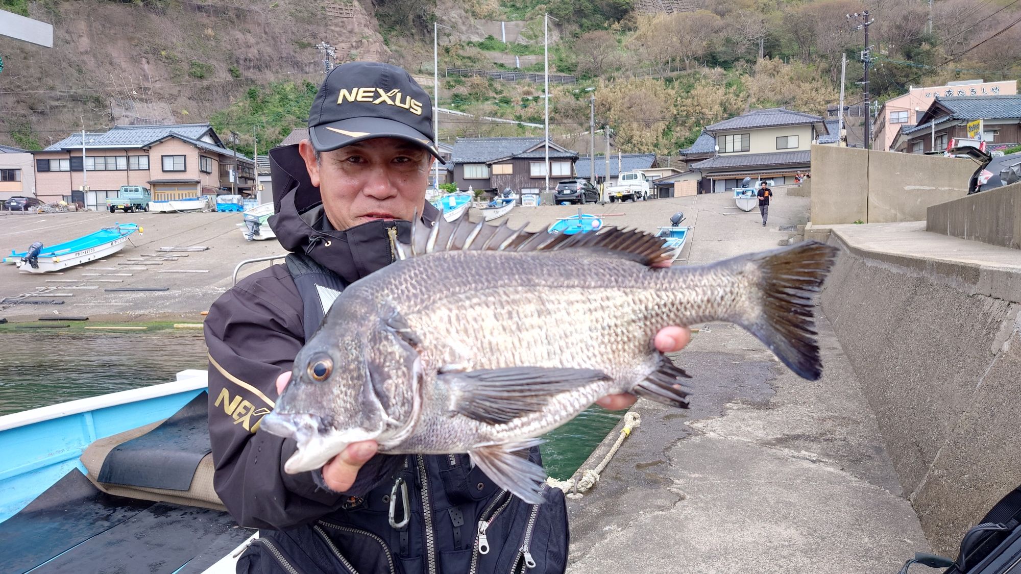 クロダイ、48cm