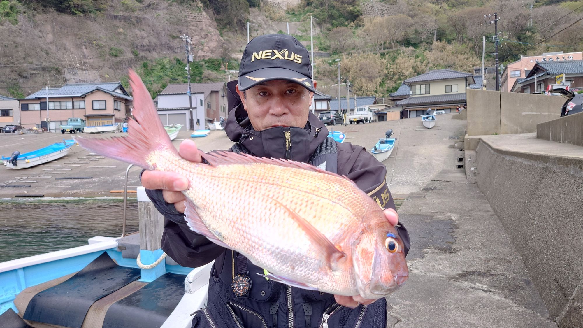 マダイ、