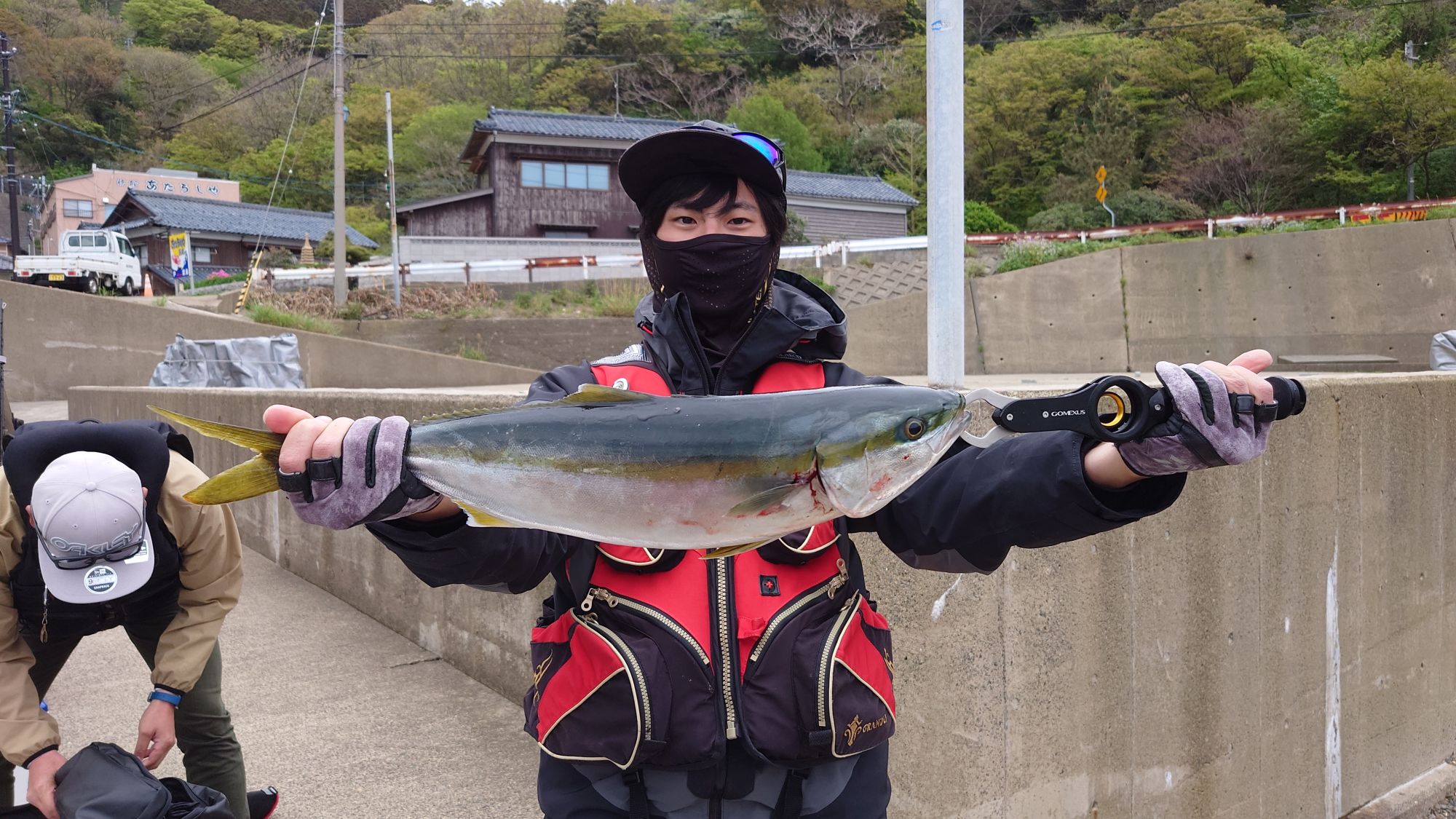 ヒラマサ、