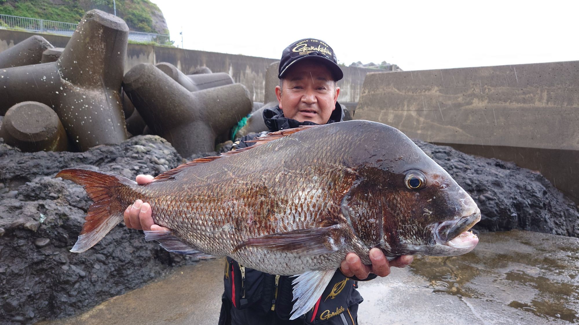 マダイ、83cm