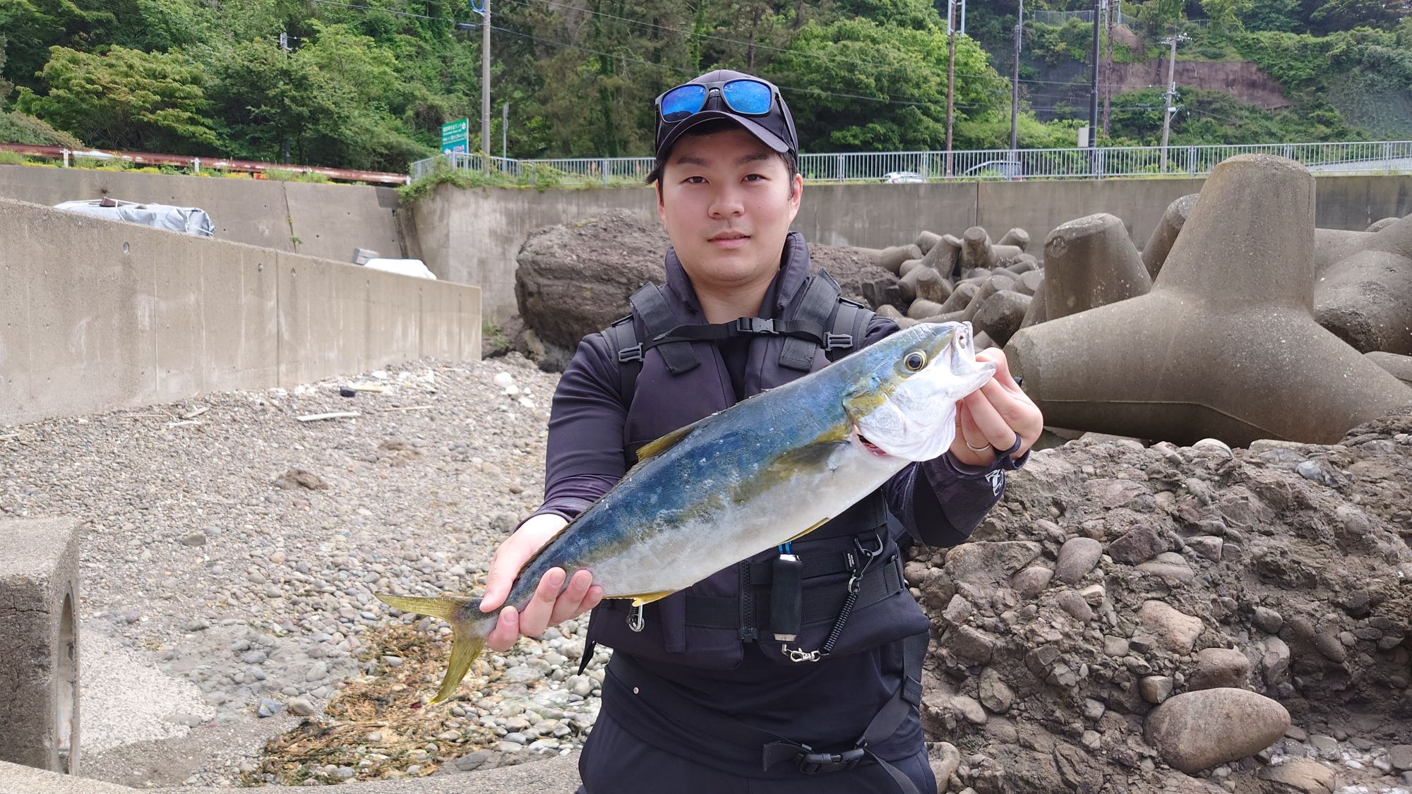 ヒラマサ、