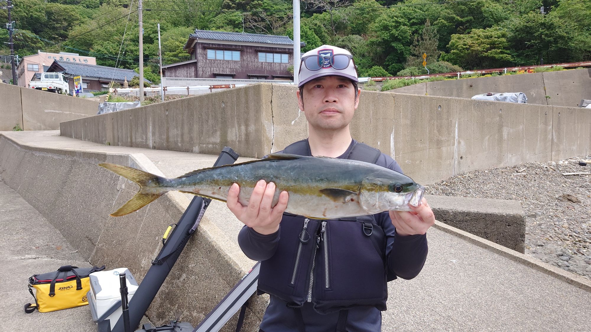 ヒラマサ、
