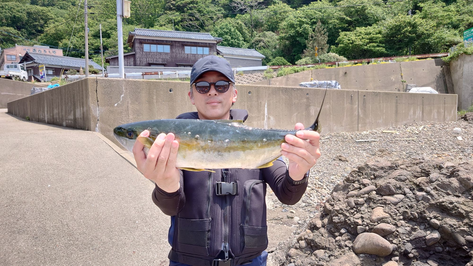 ヒラマサ、