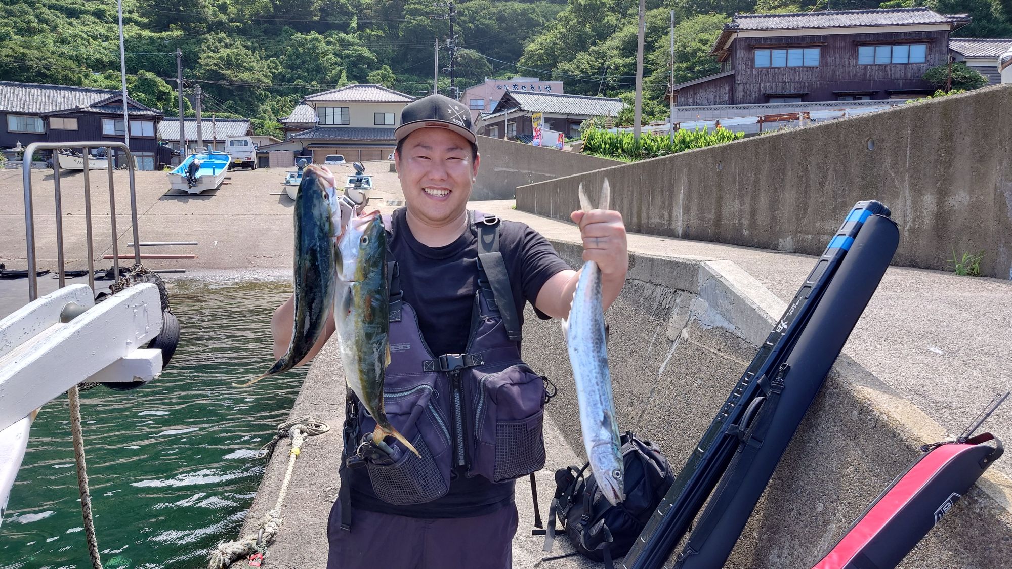 ハマチ、サゴシ、