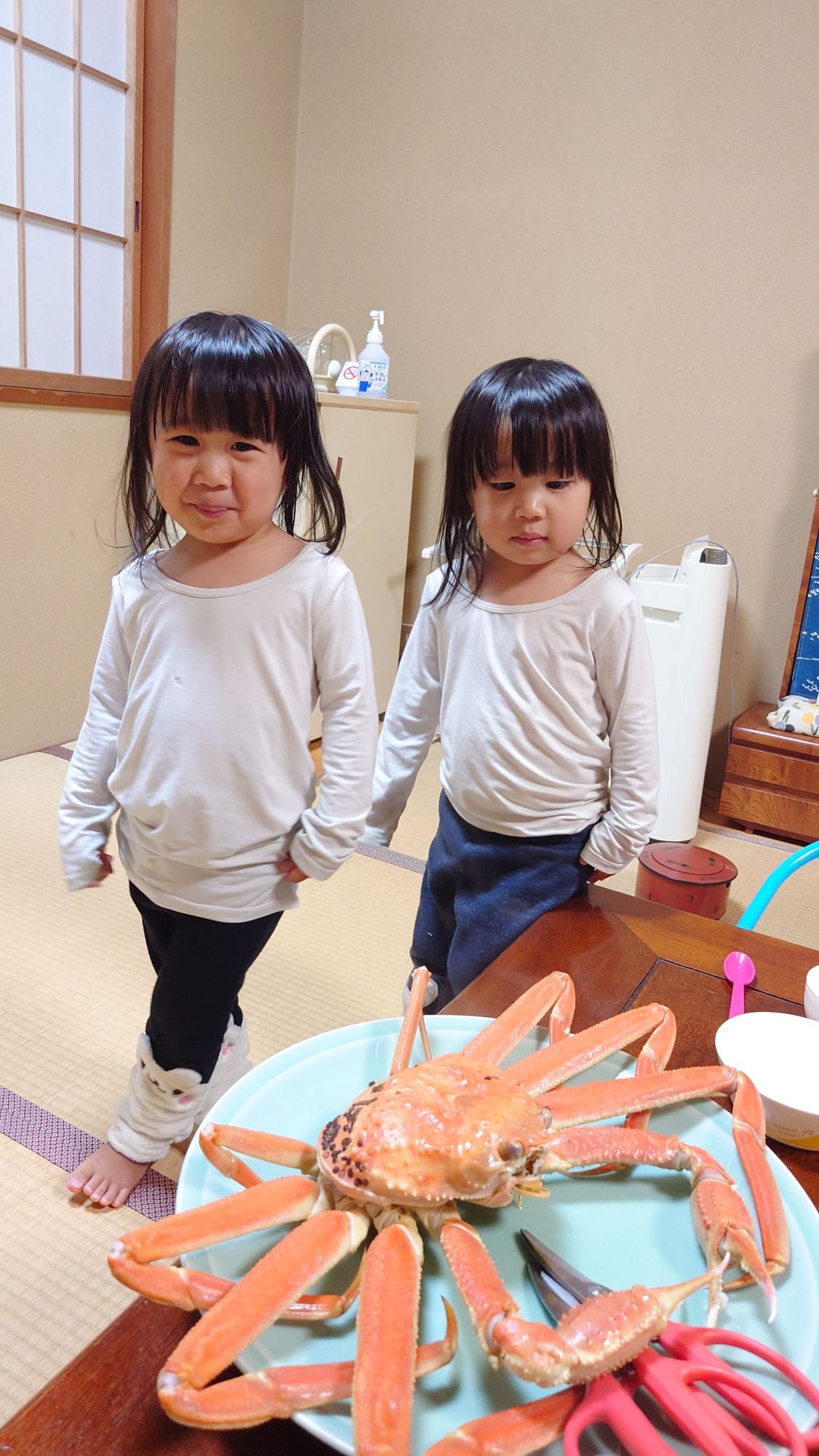 お泊まりでご利用いただきましたありがとうございました　オーストラリアからお越しいただきました。