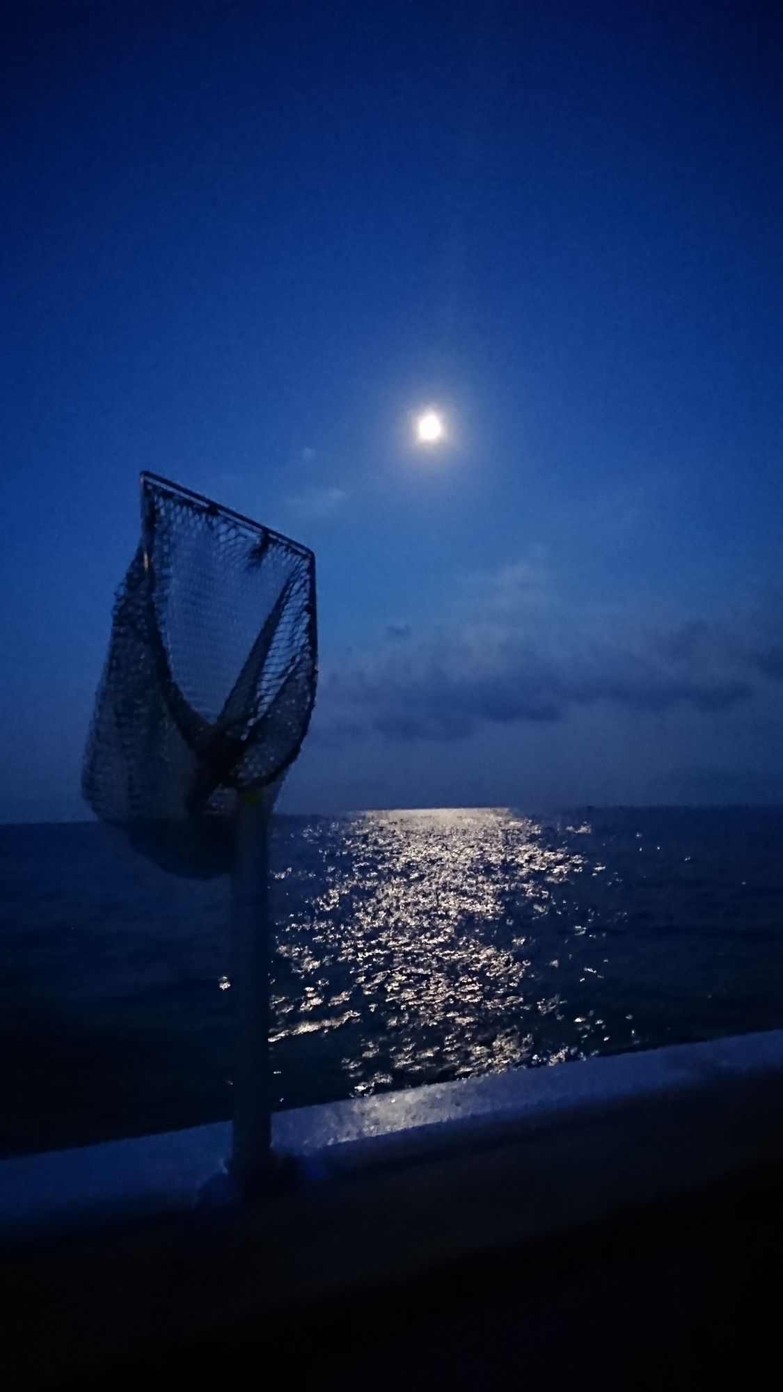 夜明け前(有明の月)