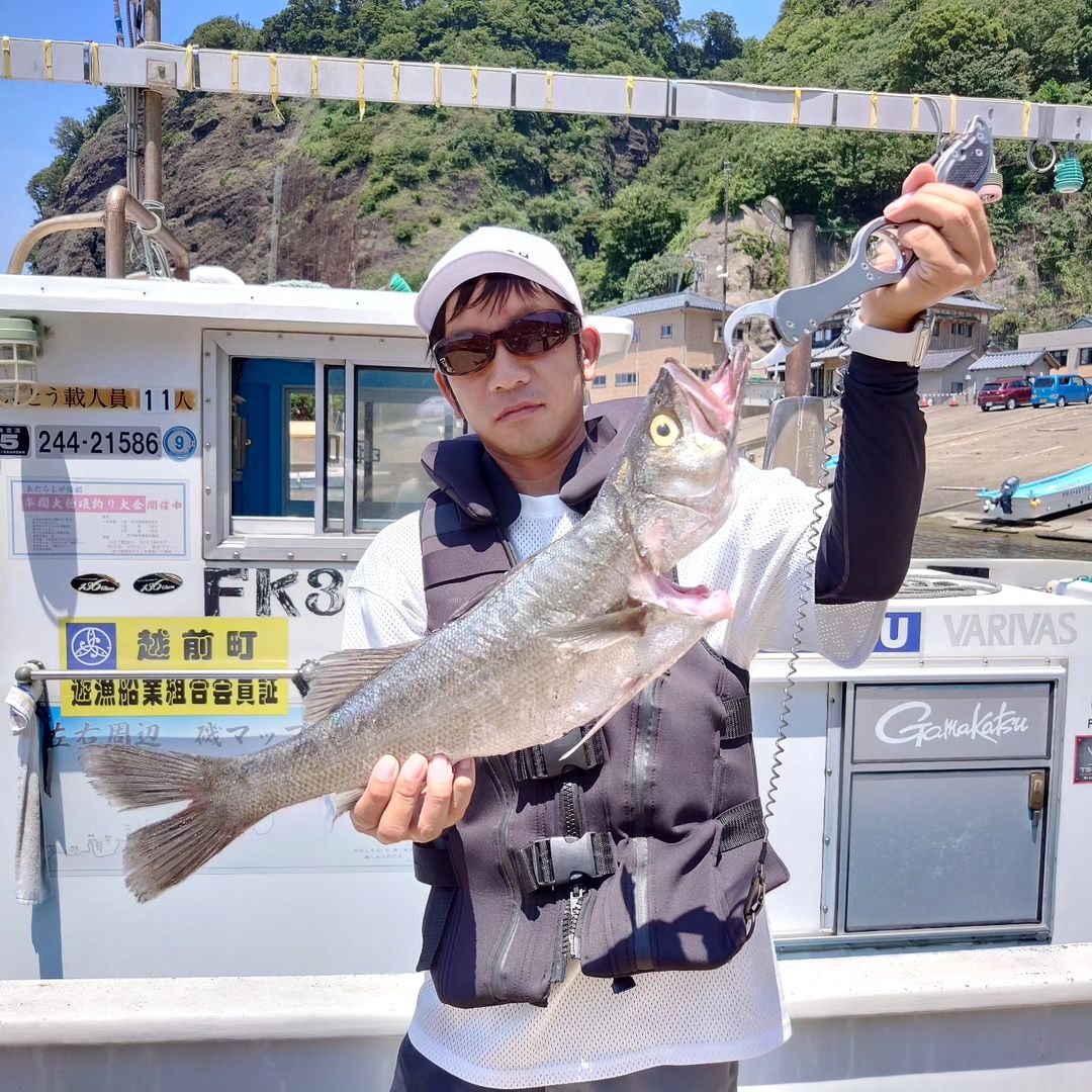 磯釣りで鱸（スズキ）を獲ったどー！