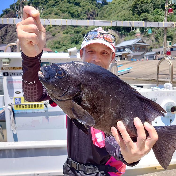 磯釣りで石鯛(イシダイ)GET!!